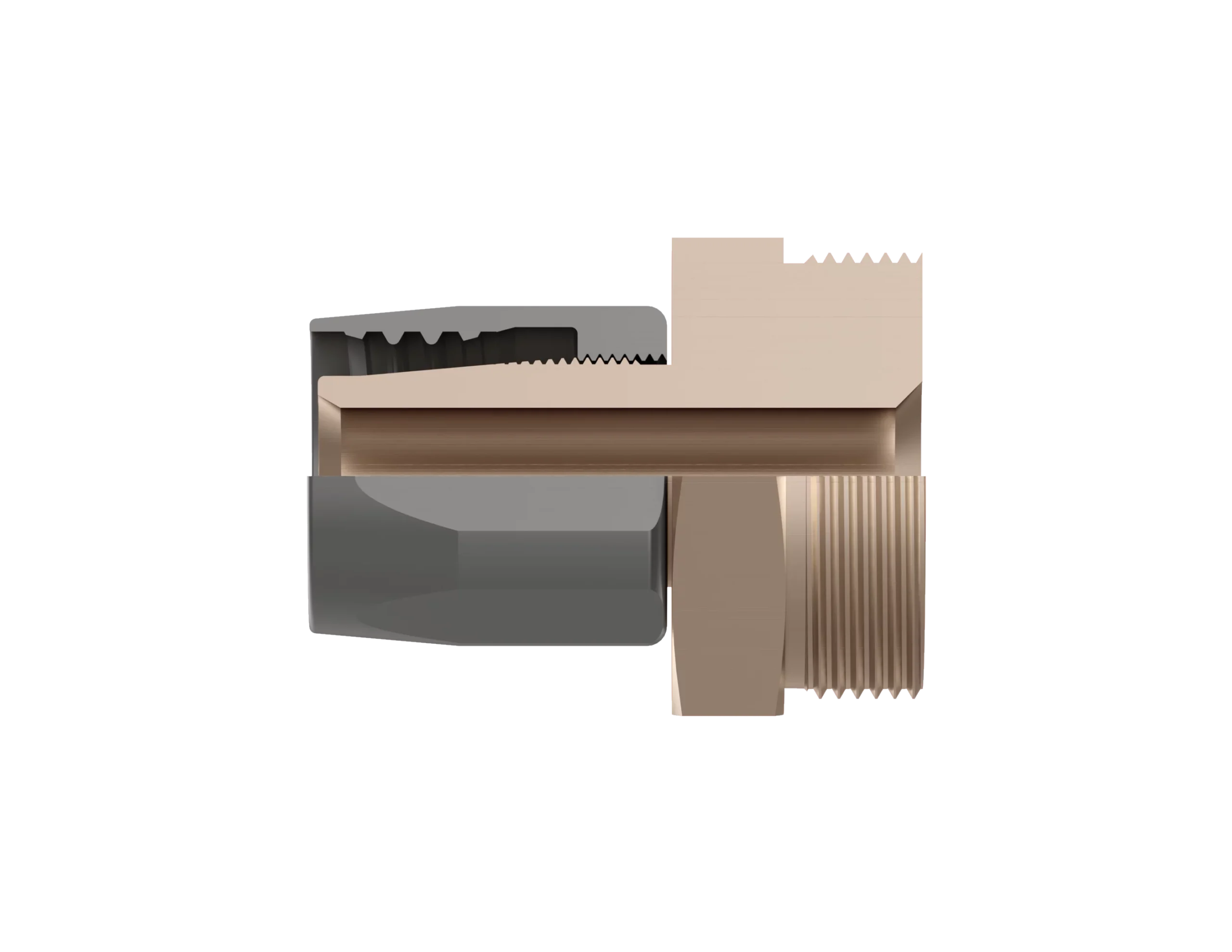 q-cut-61