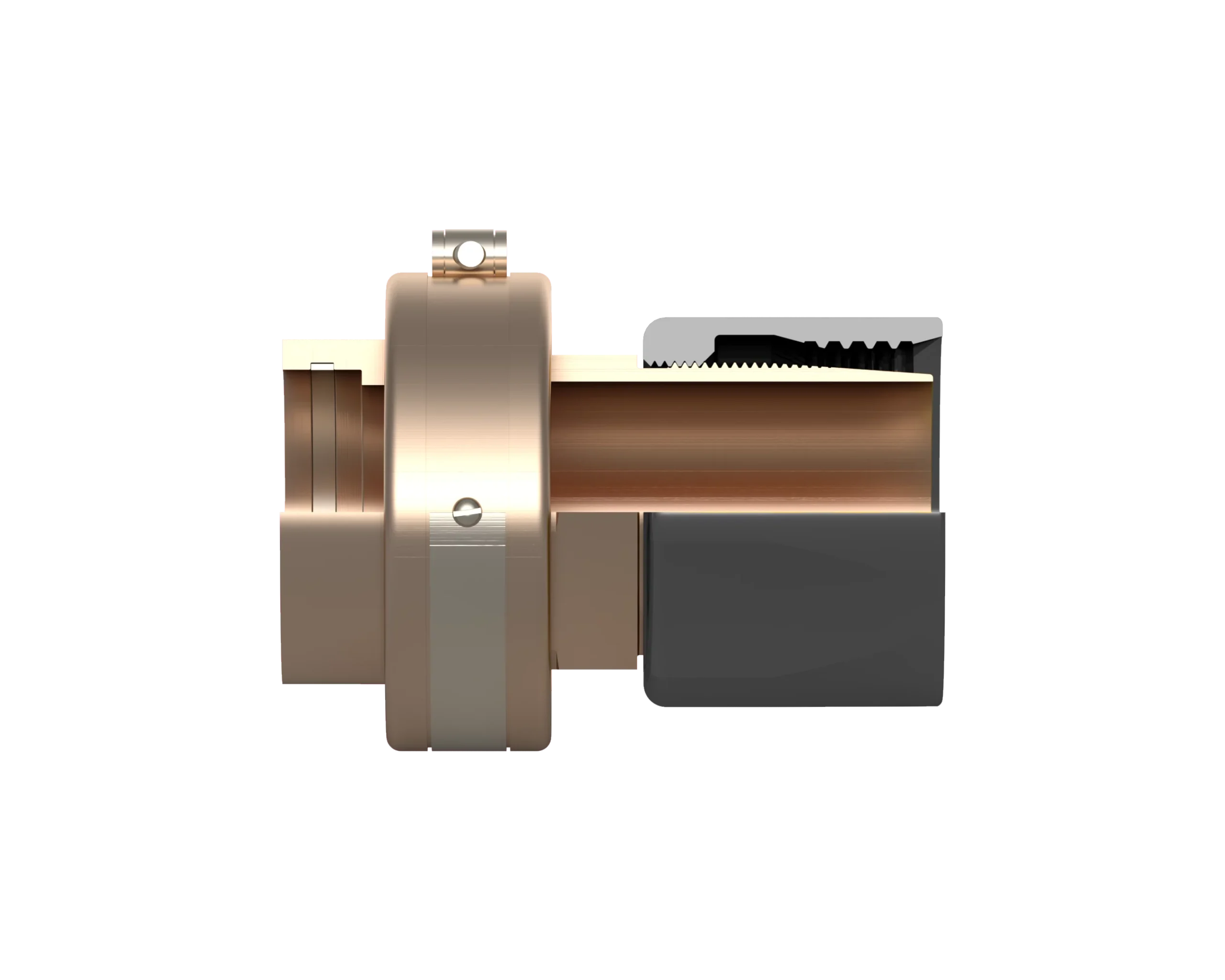 q-cut-81