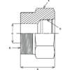 6t64drawing-100x100-2