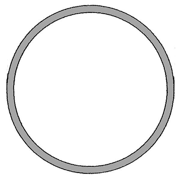 C22350 – O-Ring for Modified Clamp