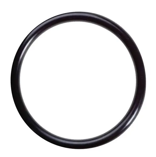 R-RNG/O-230 (O-ring) – O-Rings (Viton)